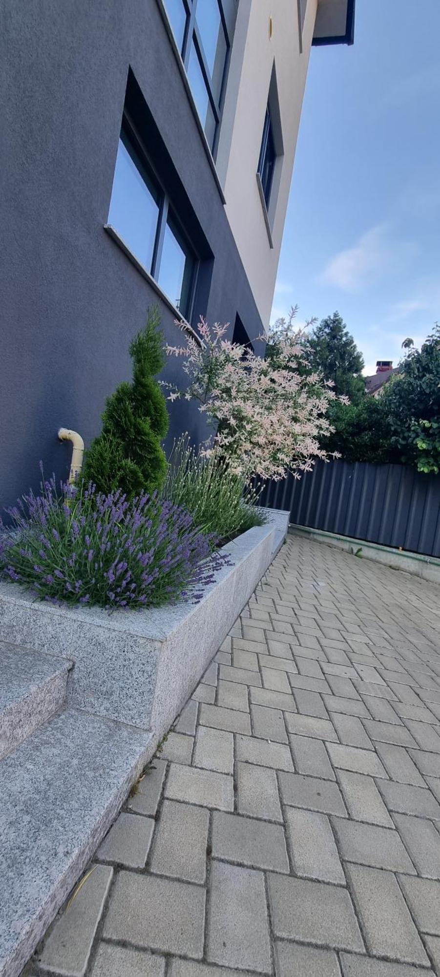 Yla Studio- Piatra Neamţ Esterno foto